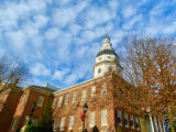 IMG_1186 IMG_1186