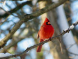IMG_7539 IMG_7539
