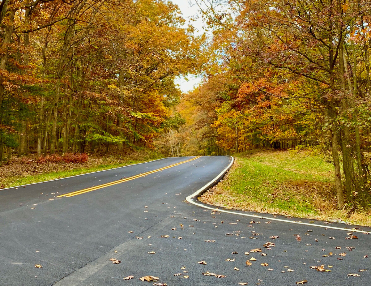 RoadLessTraveled 1200x925 - The MoJo Road Less Traveled: Another Revolution Around the Sun