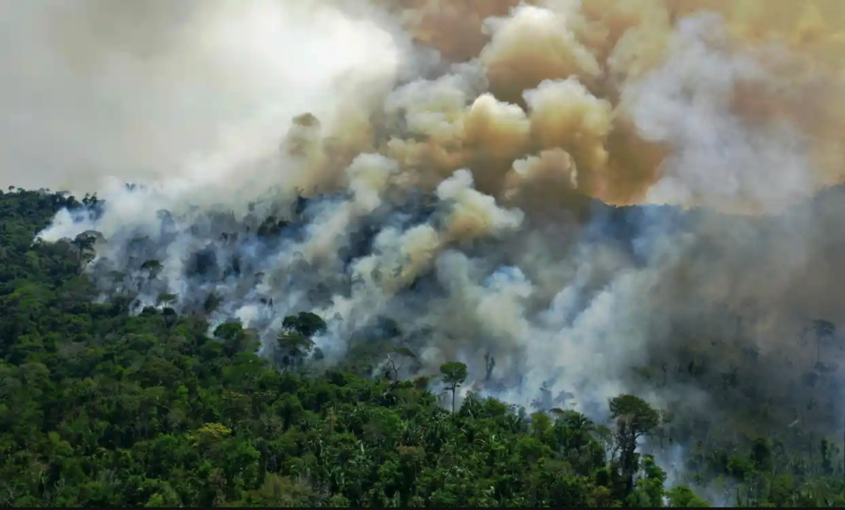 Amazon rainforest onfire 1200x724 - The Earth Nears a Tipping Point When Forests Stop Storing Carbon and Release it Into the Atmosphere