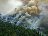 Amazon rainforest onfire 160x120 - george-washington-state-forest-1351791332