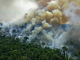 Amazon rainforest onfire 160x120 - Mobile Democrats React to Bernie Sanders vs. Hillary Clinton Debate