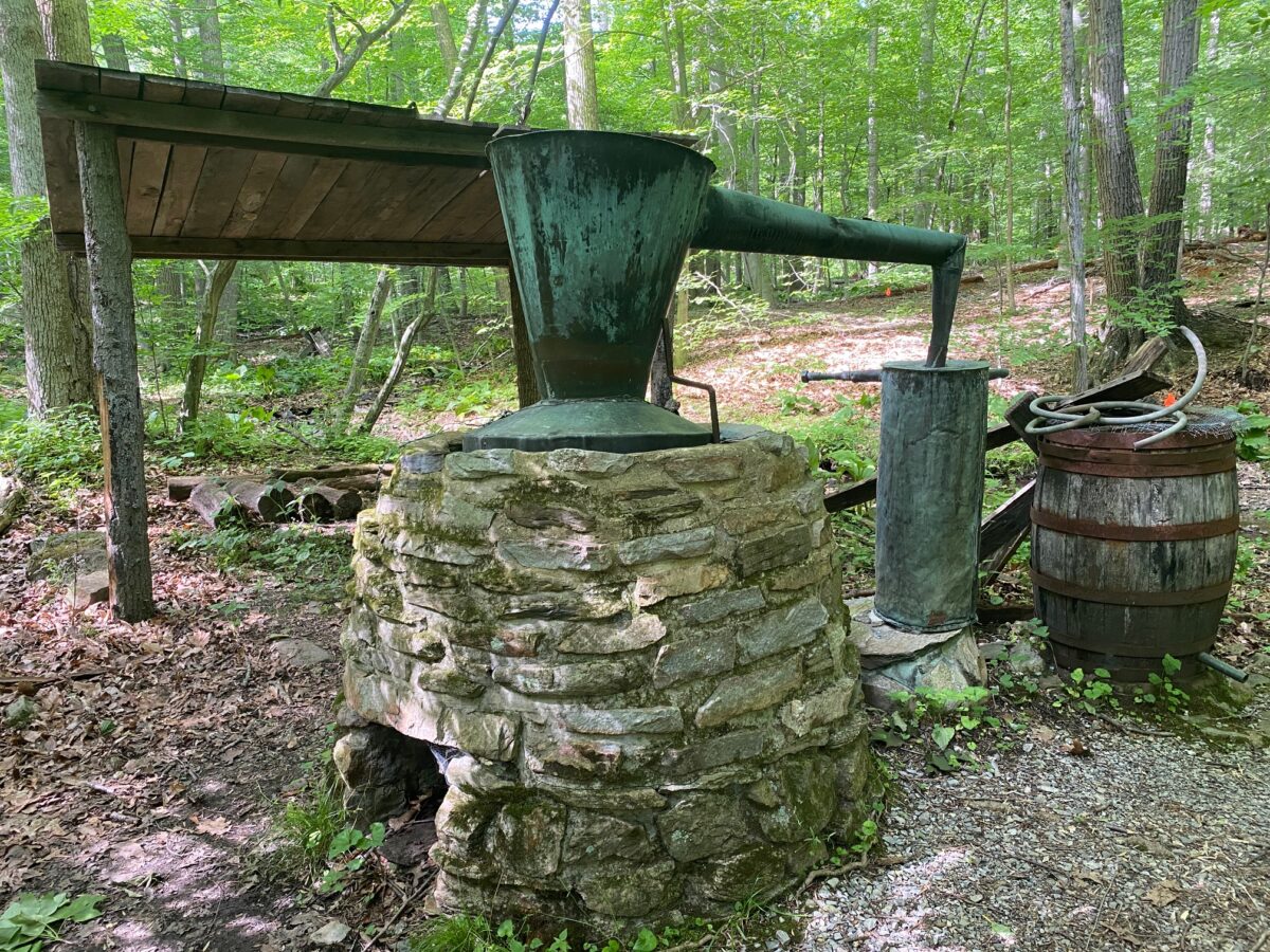 IMG 2054 1200x900 - The Story of Wild, Native Brook Trout and Why They Are So Ecologically Important Like the Canary in the Coal Mine for Climate Change