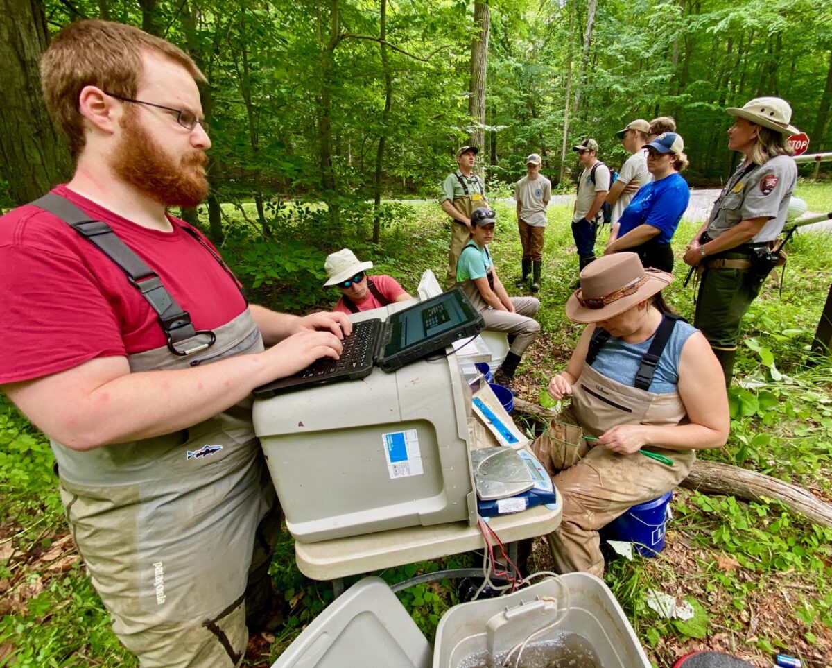 IMG 2093 1200x963 - The Story of Wild, Native Brook Trout and Why They Are So Ecologically Important Like the Canary in the Coal Mine for Climate Change