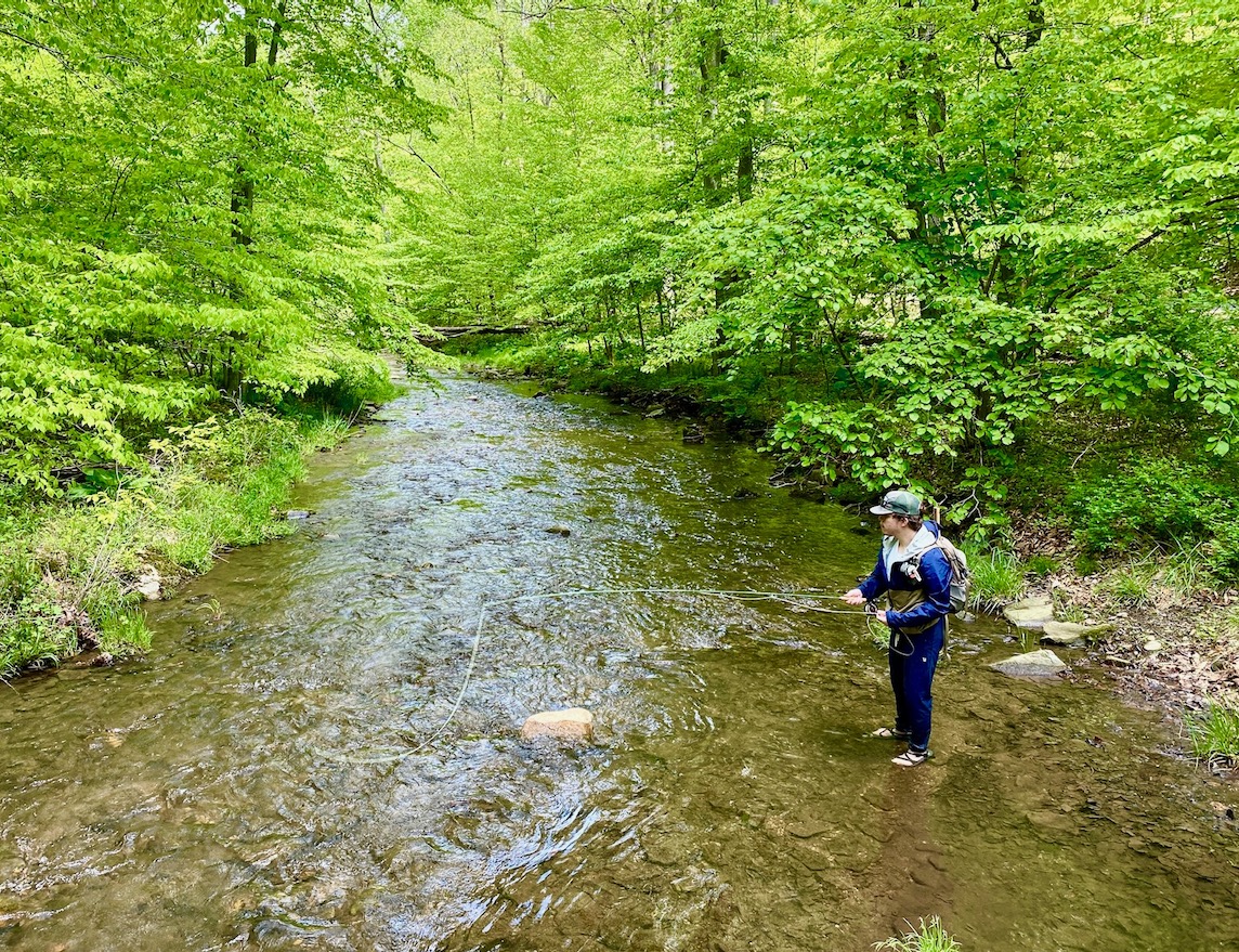 IMG 2724 - The Story of Wild, Native Brook Trout and Why They Are So Ecologically Important Like the Canary in the Coal Mine for Climate Change