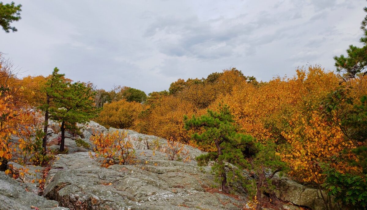 20221017 154514 1 1200x687 - Capturing Fall Foliage Pictures in Maryland's Catoctin Mountain Park