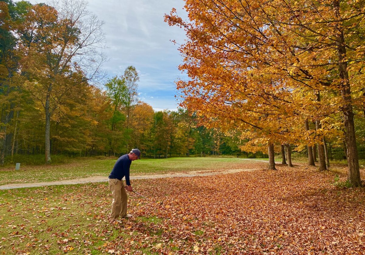 IMG 2444 1200x839 - Capturing Fall Foliage Pictures in Maryland's Catoctin Mountain Park