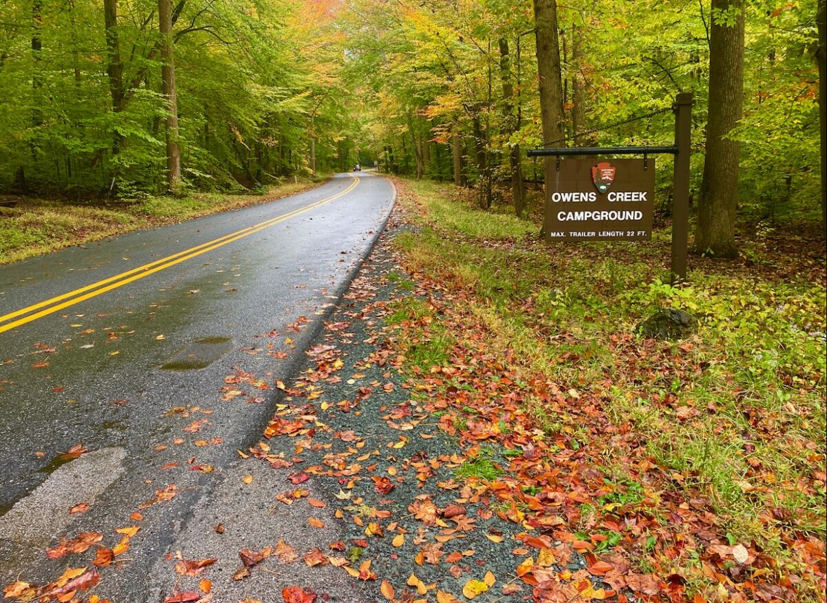 IMG 2459 1200x875 - Capturing Fall Foliage Pictures in Maryland's Catoctin Mountain Park