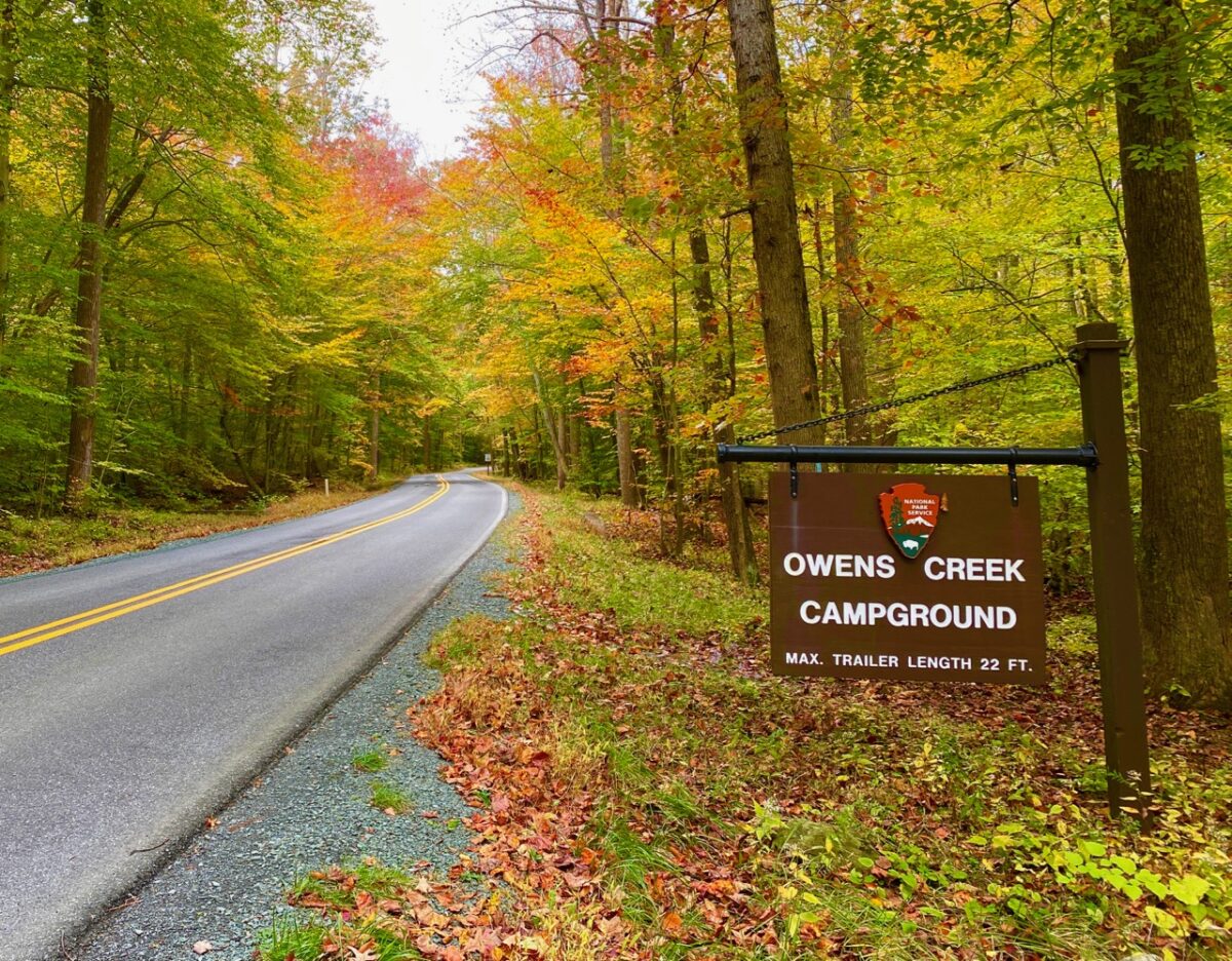 IMG 2488 1200x936 - Capturing Fall Foliage Pictures in Maryland's Catoctin Mountain Park