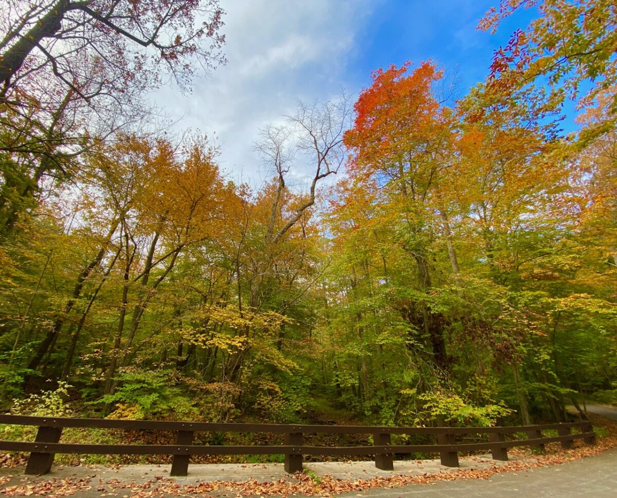 IMG 2494 1200x968 - Capturing Fall Foliage Pictures in Maryland's Catoctin Mountain Park