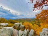 IMG 2524 160x120 - Maryland_Autumn1g