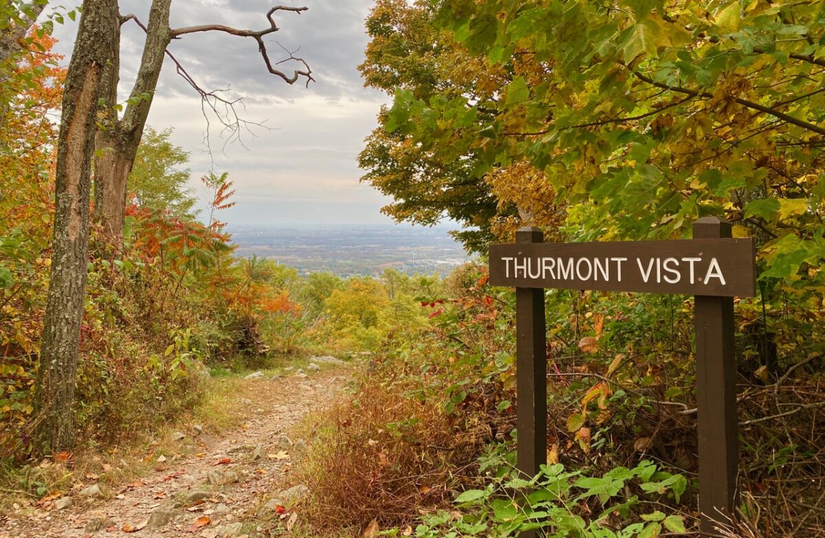 IMG 2547 1200x783 - Capturing Fall Foliage Pictures in Maryland's Catoctin Mountain Park