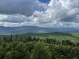 Quill Hill Maine 160x120 - Elizabeth_Furnace-woodpecker1a