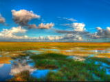 marshes of glynn1a 160x120 - Thoreau's Walden Pond