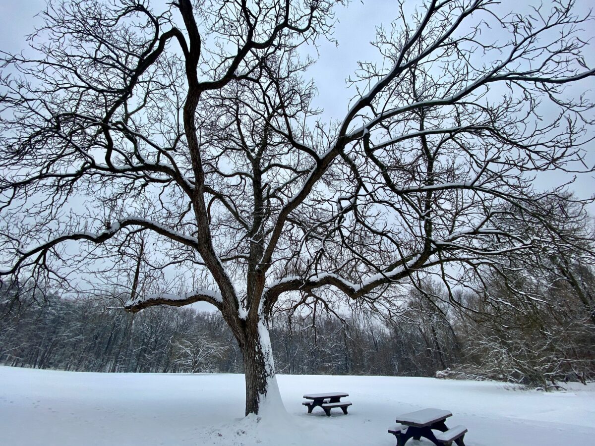 IMG 3786 1200x900 - Snow Covers Washington, but Congress Somehow Manages to Avoid a Government Shutdown