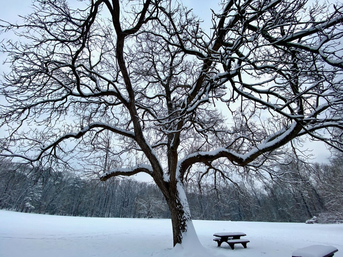 IMG 3808 1200x900 - Snow Covers Washington, but Congress Somehow Manages to Avoid a Government Shutdown