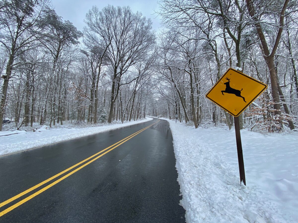 IMG 3820 1200x900 - Snow Covers Washington, but Congress Somehow Manages to Avoid a Government Shutdown