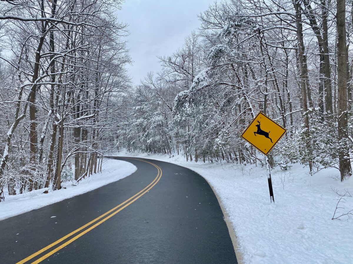 IMG 3858 1200x900 - Snow Covers Washington, but Congress Somehow Manages to Avoid a Government Shutdown