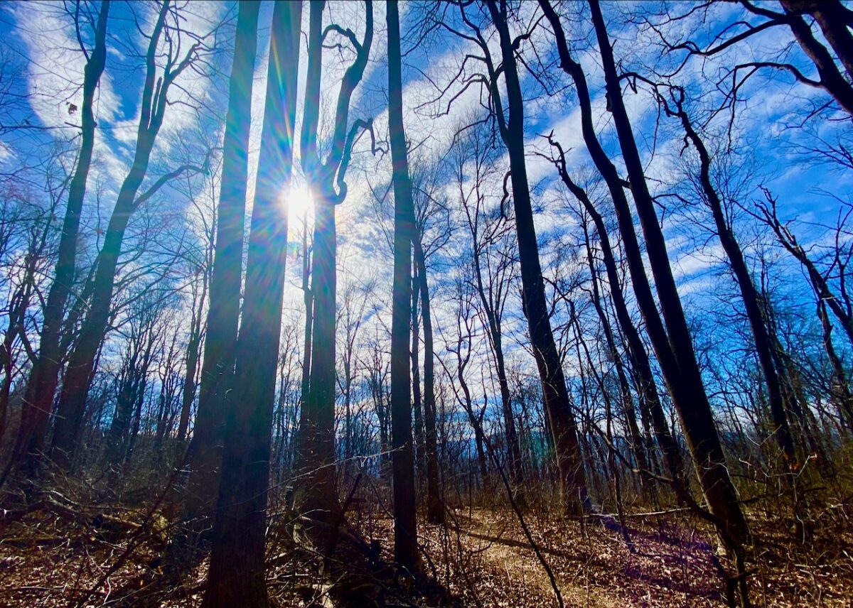 IMG 3990 1 1200x856 - Secret Vistas: A Day Trip to Shenandoah to Focus the Mind