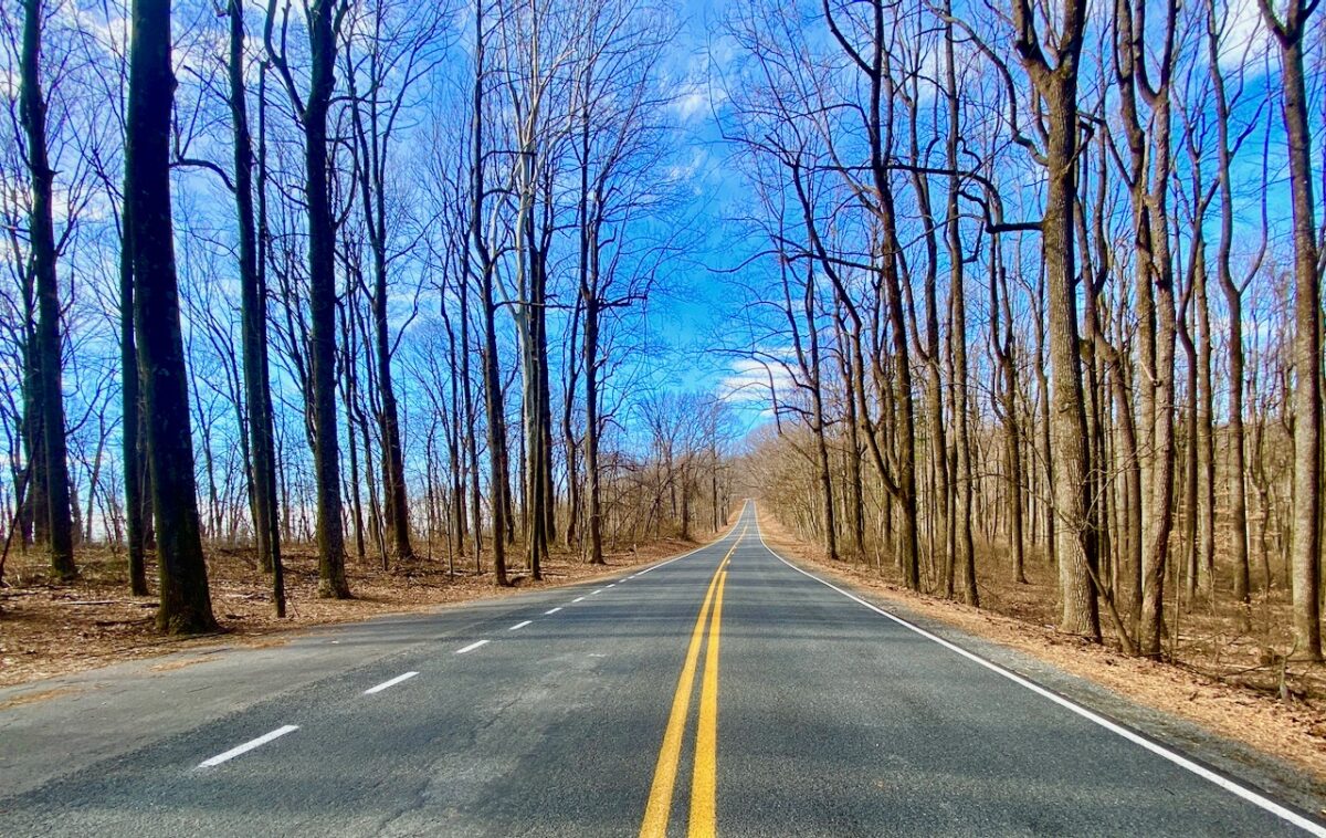 IMG 4008 1200x758 - Secret Vistas: A Day Trip to Shenandoah to Focus the Mind