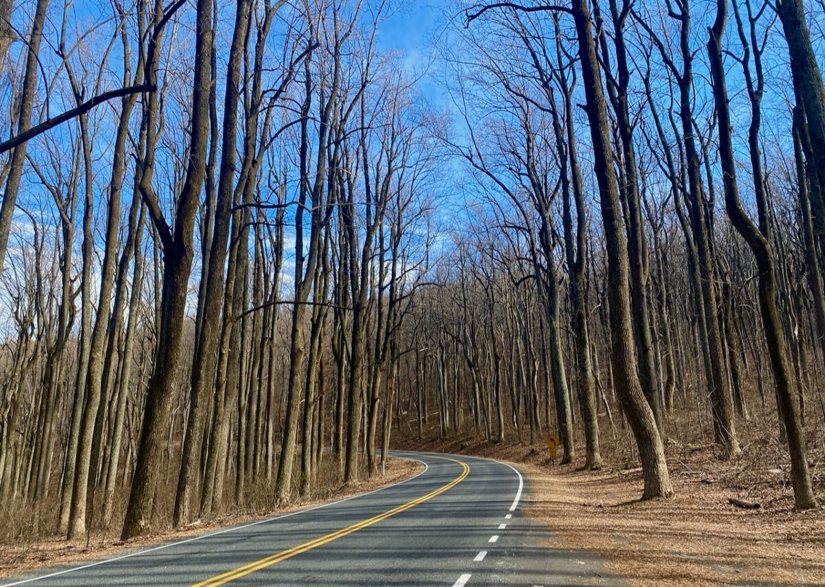 IMG 4014 1200x854 - Secret Vistas: A Day Trip to Shenandoah to Focus the Mind