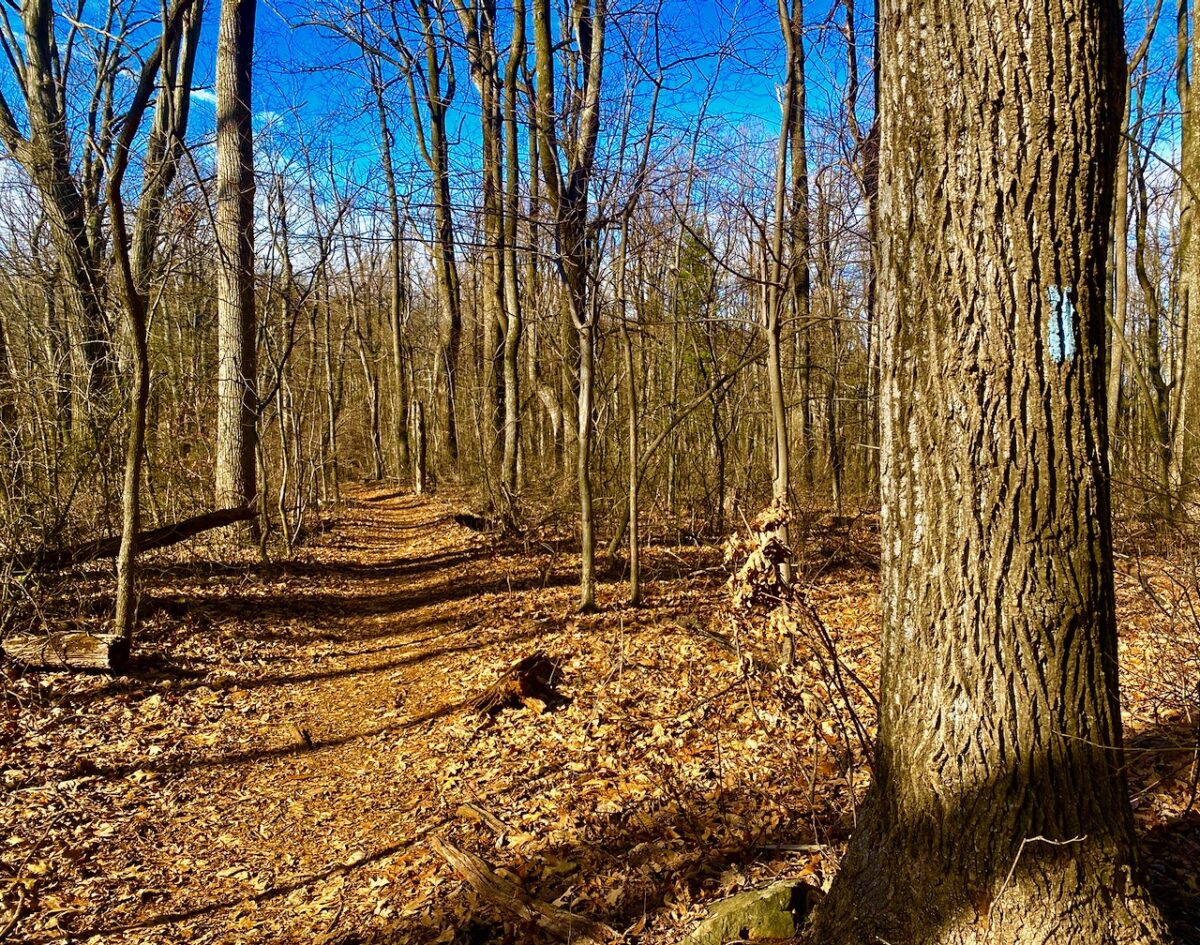 IMG 4052 1200x945 - Secret Vistas: A Day Trip to Shenandoah to Focus the Mind