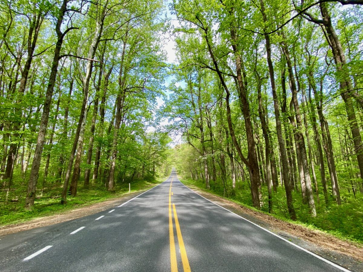 Why Can't We Solve Problems? Because of the People Who Like to Break Things IMG 4549 1200x900 - Why Can't We Solve Problems? Because of the People Who Like to Break Things