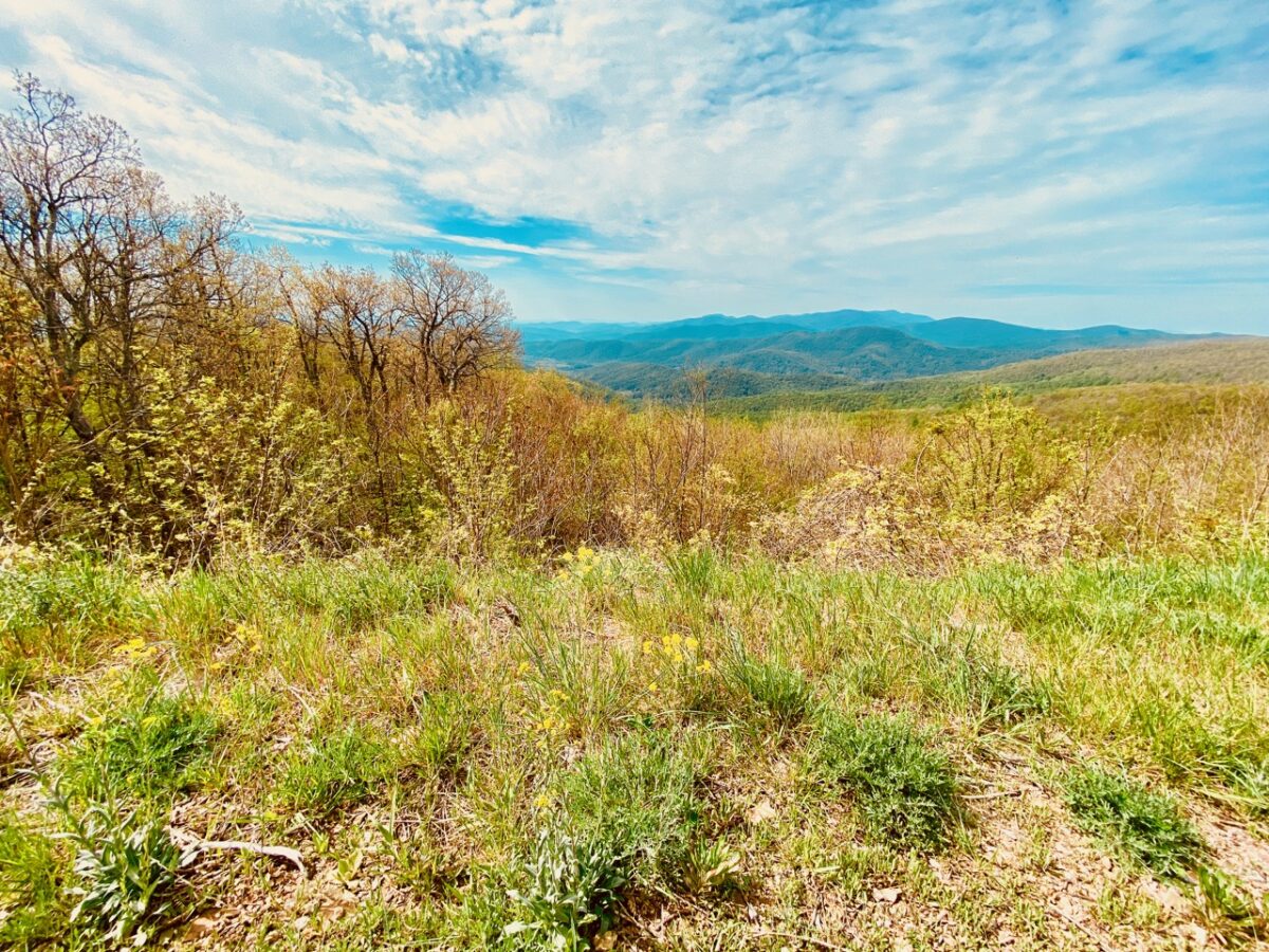 Why Can't We Solve Problems? Because of the People Who Like to Break Things IMG 4566 1200x900 - Why Can't We Solve Problems? Because of the People Who Like to Break Things