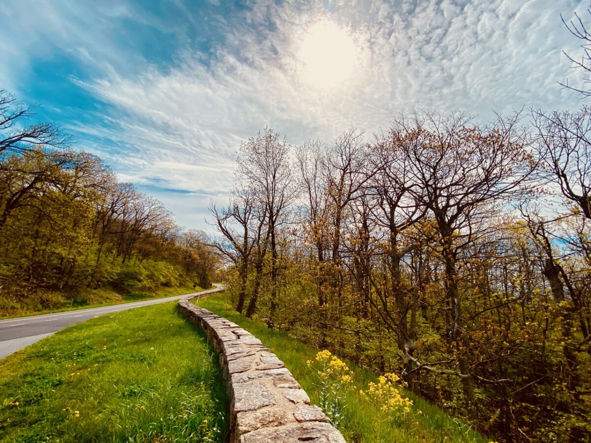 Why Can't We Solve Problems? Because of the People Who Like to Break Things IMG 4571 1200x900 - Why Can't We Solve Problems? Because of the People Who Like to Break Things