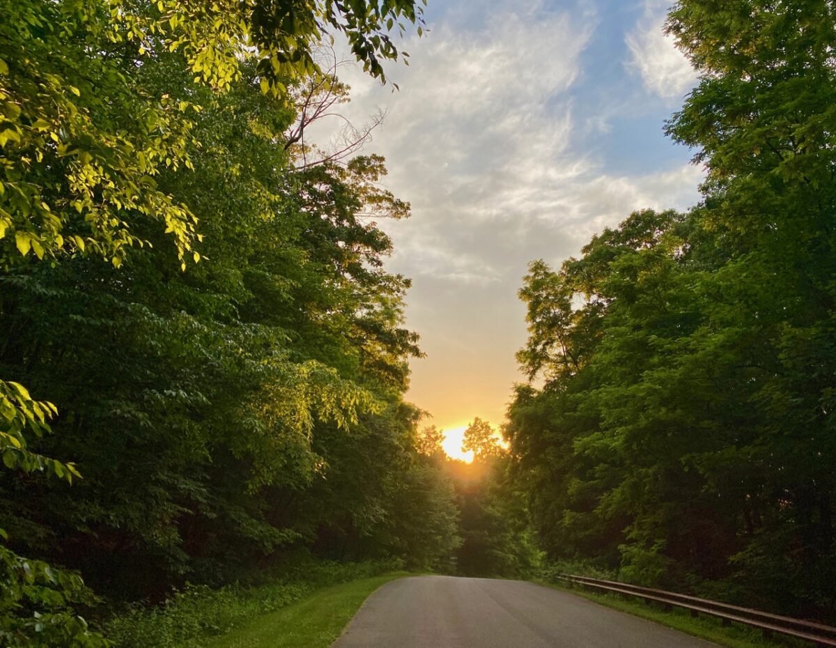 IMG 4944 1200x930 - Getting By With a Little Help From Our Friends