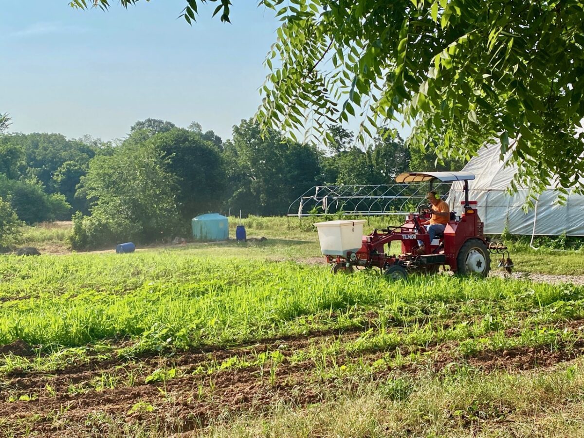 IMG 4957 1200x900 - Seven Day Heat Wave Grips the Eastern U.S.