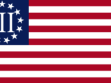 3percenter flag 160x120 - The Mis-Education of Mobile on an Oil Pipeline Through Africatown
