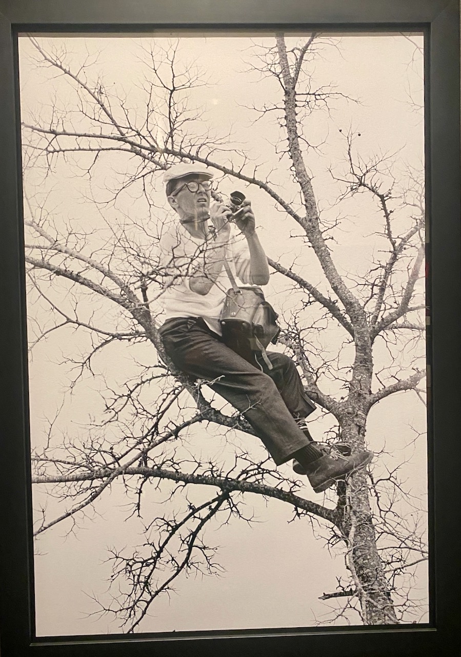 Spider Martin Photography Exhibit Opens on the 60th Anniversary of the Voting Rights Act of 1965 IMG 5932 - Spider Martin Photography Exhibit Opens on the 60th Anniversary of the Voting Rights Act of 1965