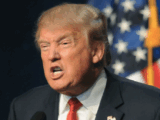 Herr_Trump Image