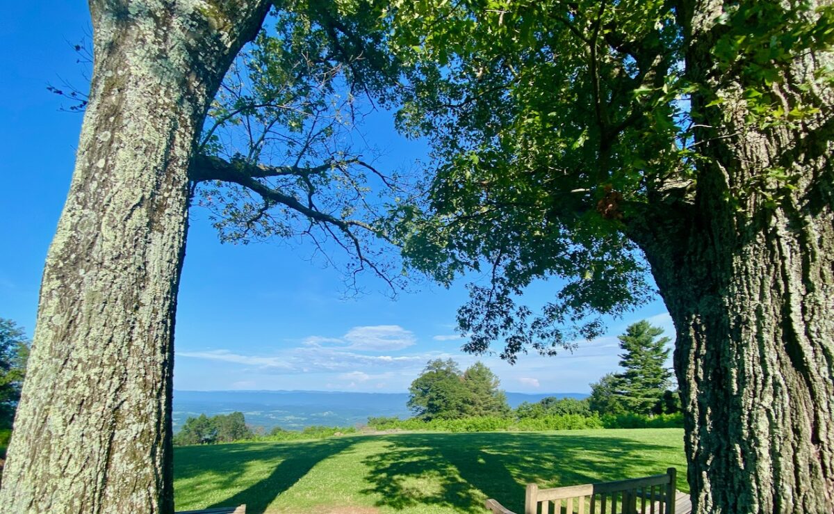 IMG 6739 1200x739 - Native Legends Define Special Places in Nature: Dream A Little Sunbeam Dream