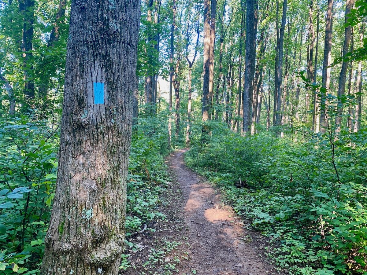 IMG 6755 1200x900 - Native Legends Define Special Places in Nature: Dream A Little Sunbeam Dream