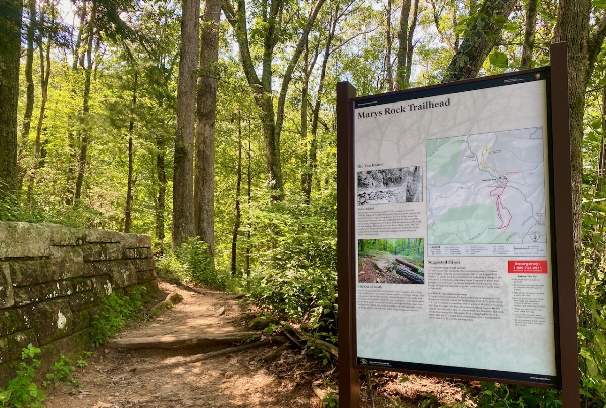 IMG 6771 1200x808 - Native Legends Define Special Places in Nature: Dream A Little Sunbeam Dream