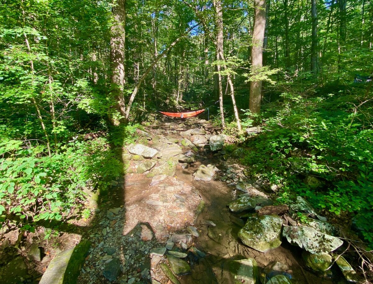 IMG 6815 1200x912 - Secret Vistas: Visiting the Catoctin Mountains One Last Time