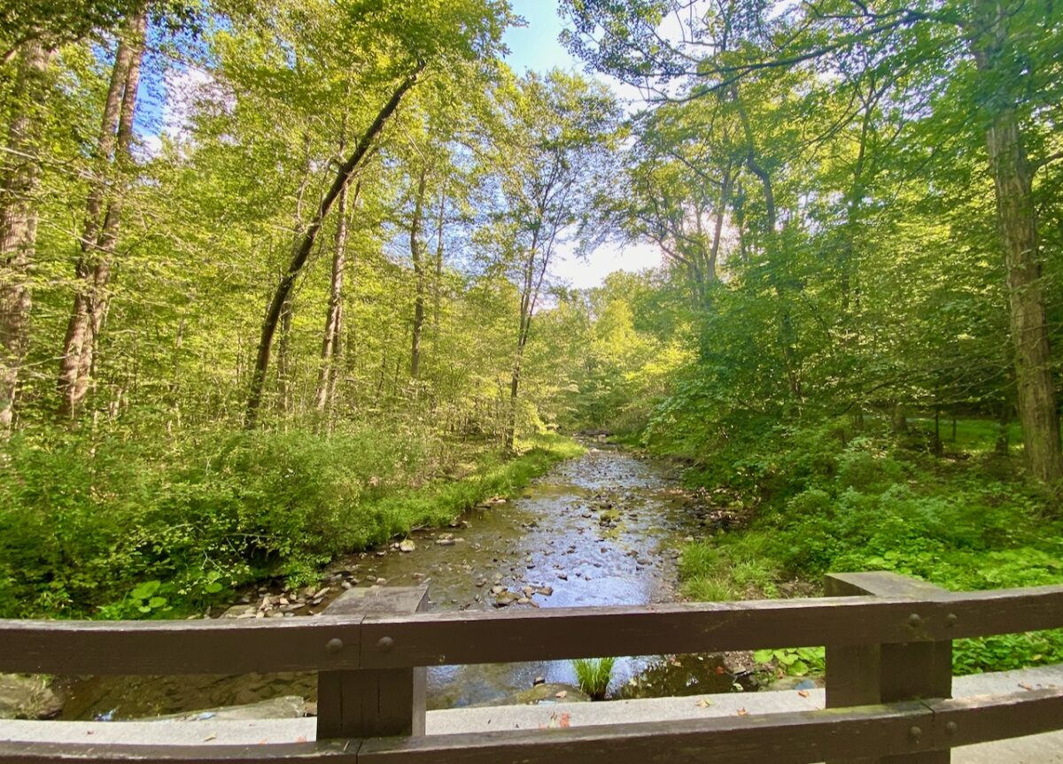 IMG 6820 1200x863 - Secret Vistas: Visiting the Catoctin Mountains One Last Time