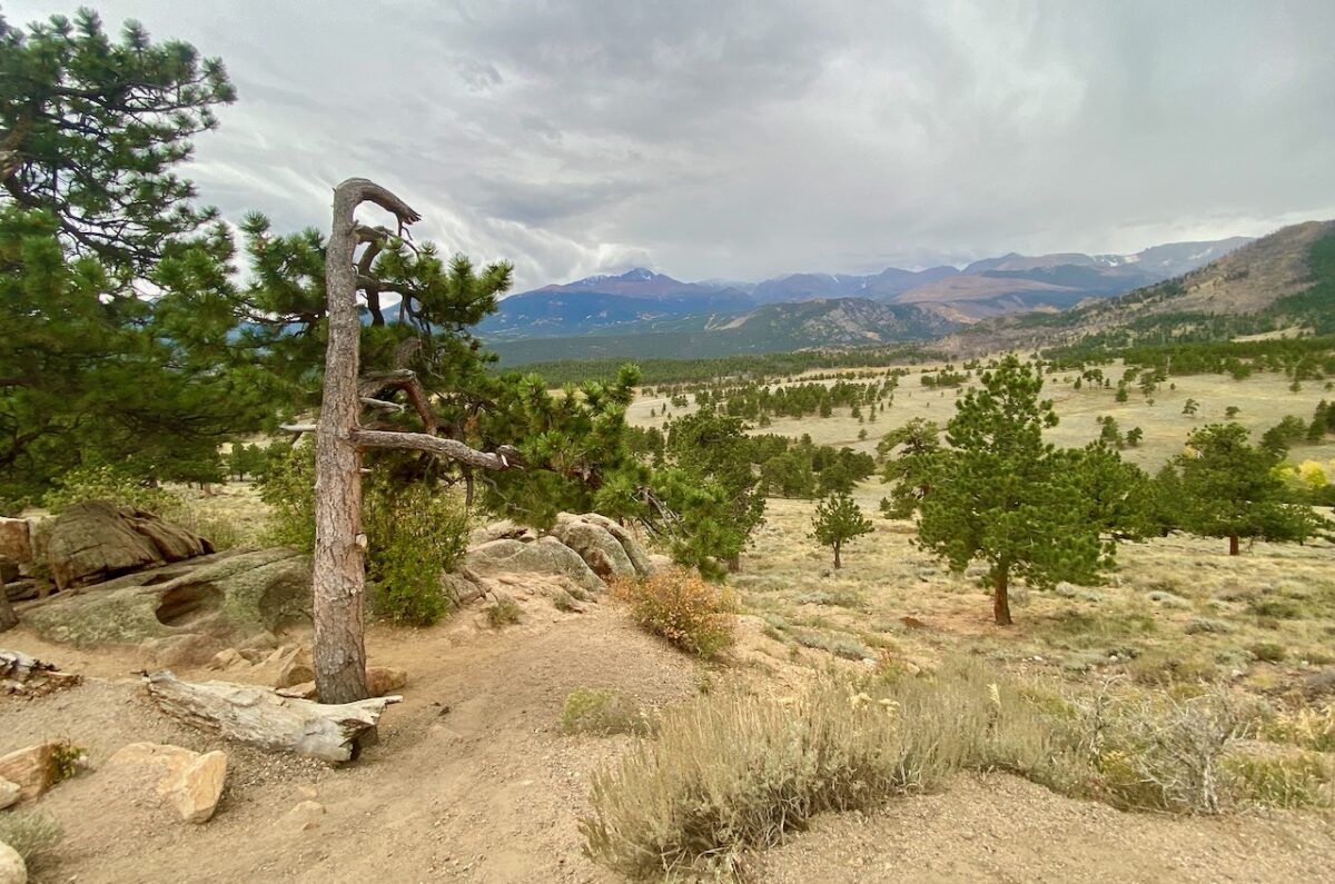 IMG 7055 1200x795 - Eight Days in Colorado: Denver, Rocky Mountain National Park, Woody Creek and a Colorado River State Park