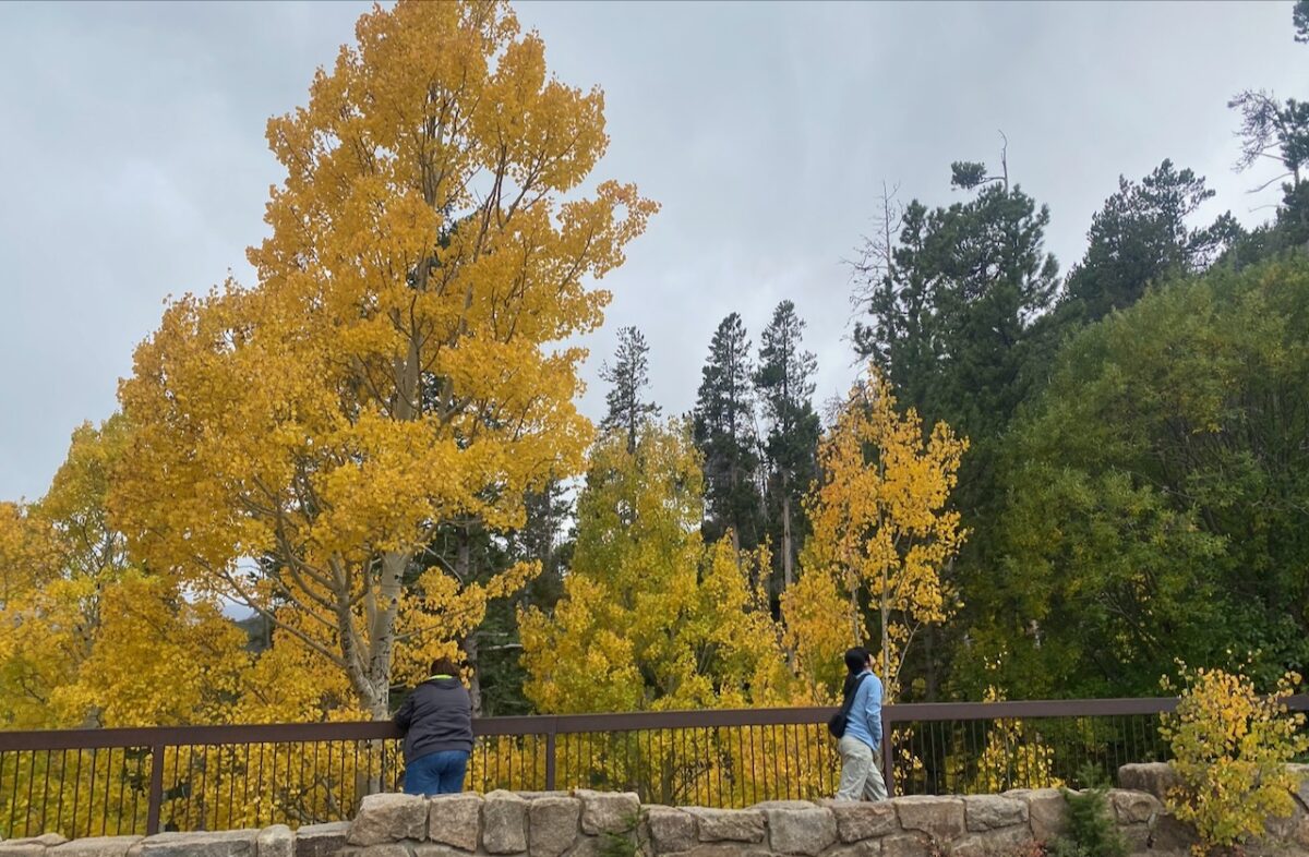 IMG 7062 1200x786 - Eight Days in Colorado: Denver, Rocky Mountain National Park, Woody Creek and a Colorado River State Park