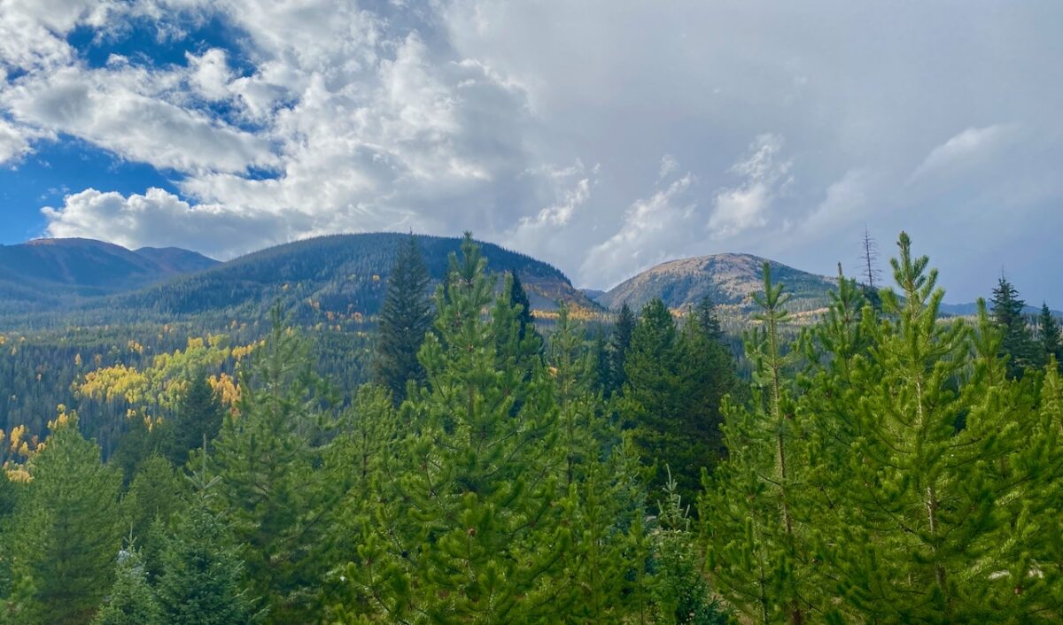 IMG 7092 1200x706 - Eight Days in Colorado: Denver, Rocky Mountain National Park, Woody Creek and a Colorado River State Park