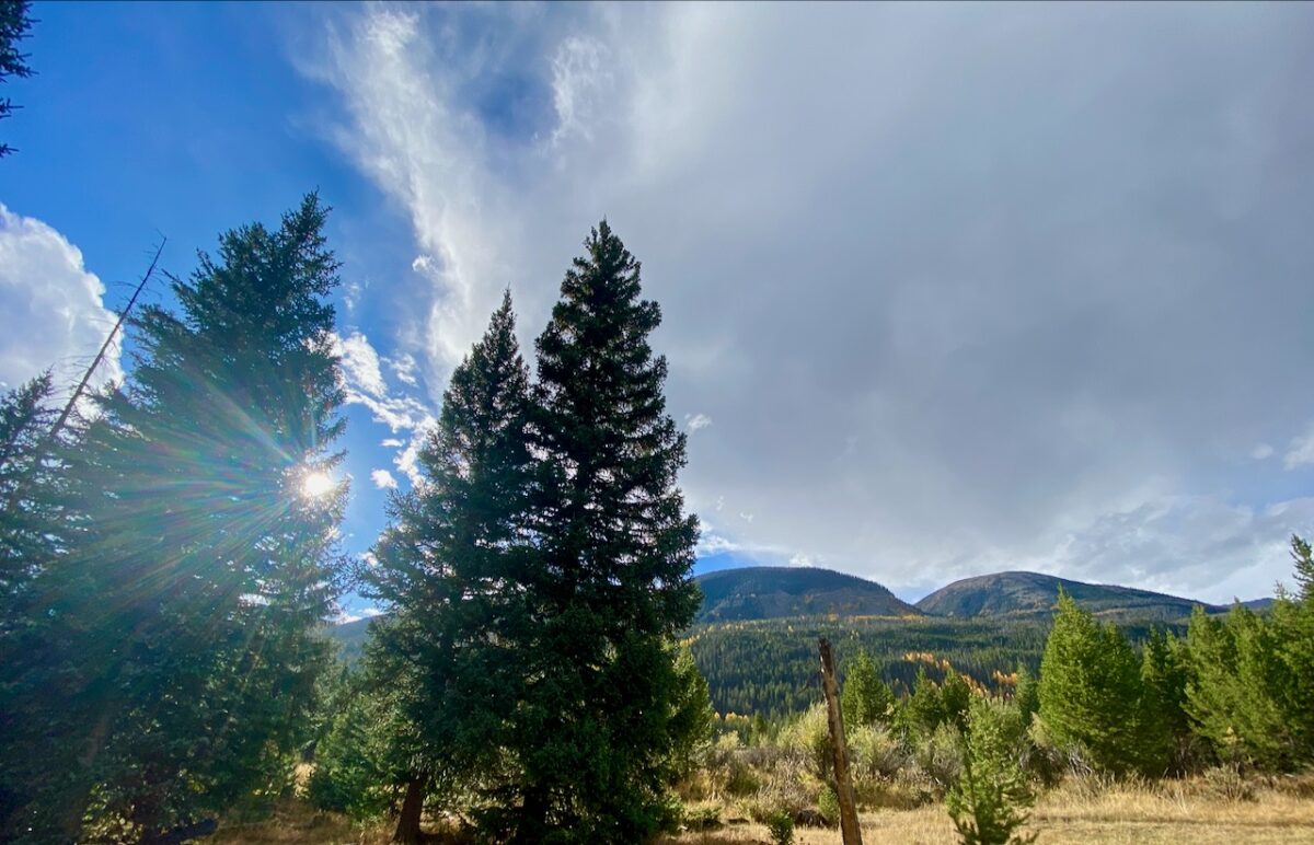 IMG 7104 1200x772 - Eight Days in Colorado: Denver, Rocky Mountain National Park, Woody Creek and a Colorado River State Park