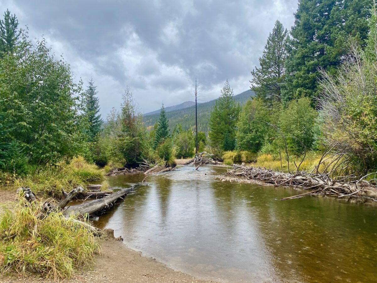 IMG 7114 1200x900 - Eight Days in Colorado: Denver, Rocky Mountain National Park, Woody Creek and a Colorado River State Park