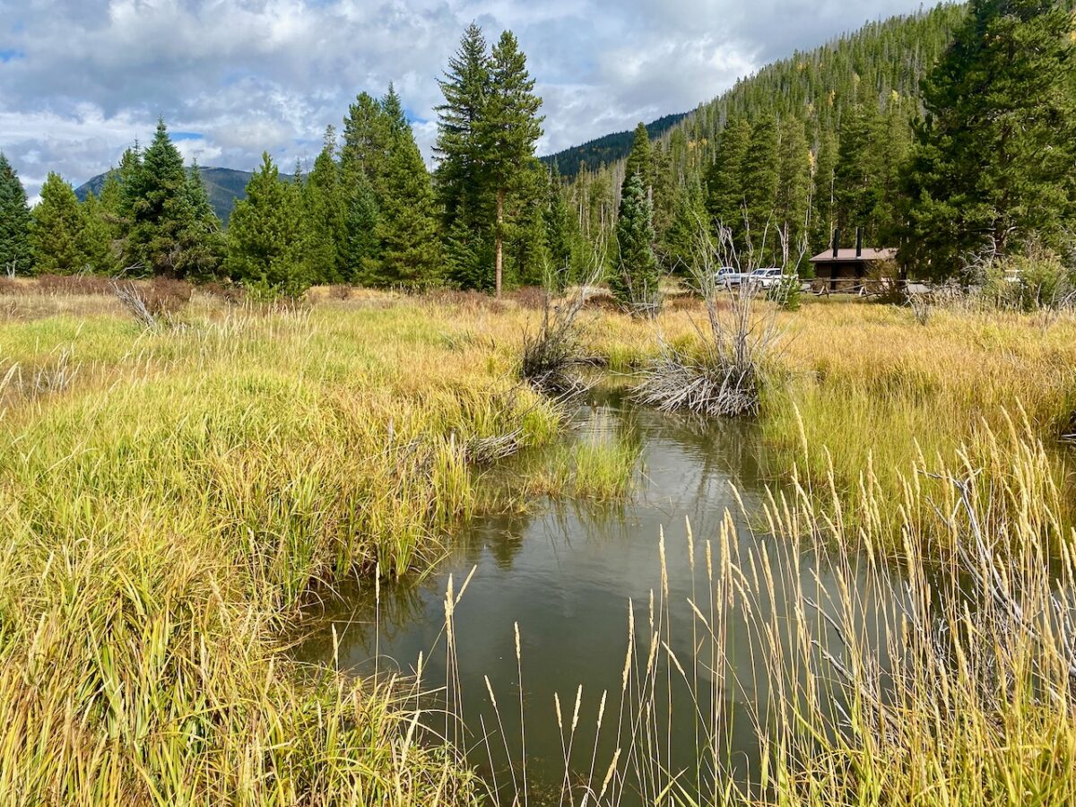 IMG 7120 1200x900 - Eight Days in Colorado: Denver, Rocky Mountain National Park, Woody Creek and a Colorado River State Park