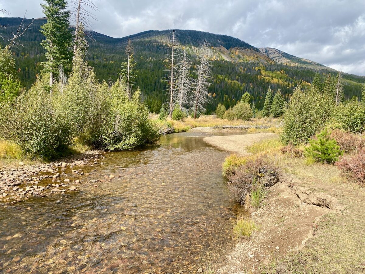IMG 7124 1200x900 - Eight Days in Colorado: Denver, Rocky Mountain National Park, Woody Creek and a Colorado River State Park