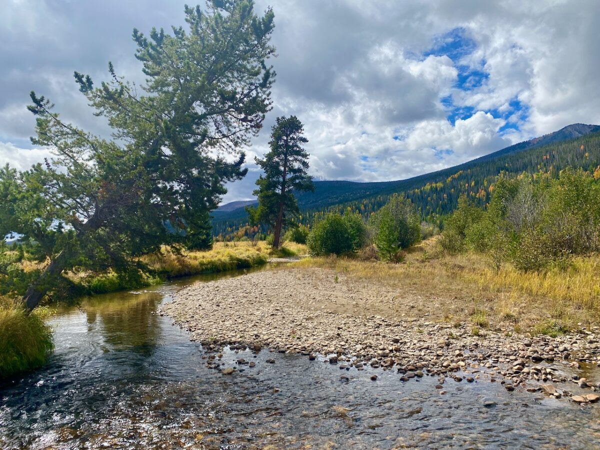 IMG 7128 1200x900 - Eight Days in Colorado: Denver, Rocky Mountain National Park, Woody Creek and a Colorado River State Park