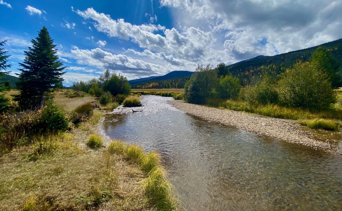 IMG 7149 1200x740 - Eight Days in Colorado: Denver, Rocky Mountain National Park, Woody Creek and a Colorado River State Park