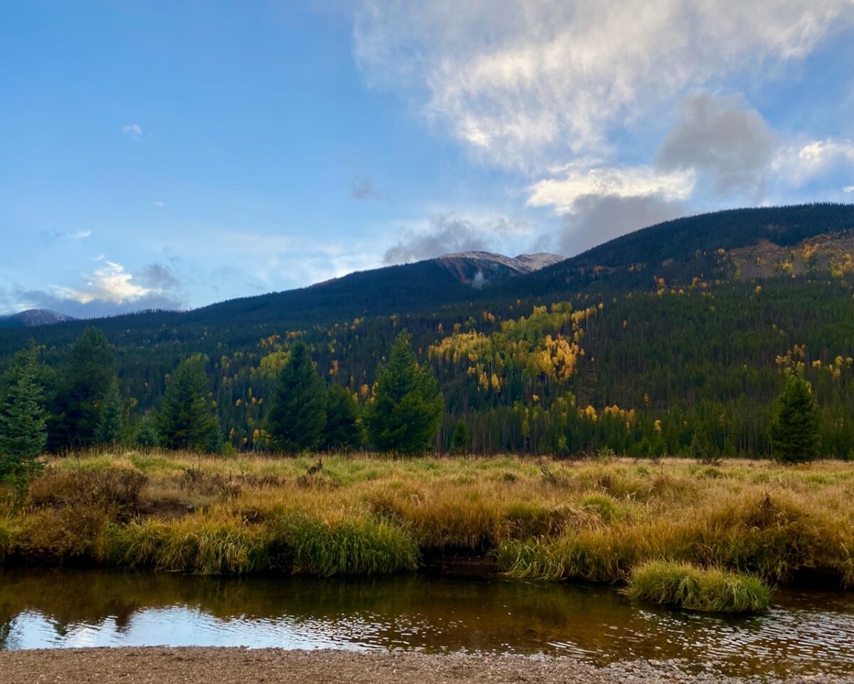 IMG 7153 1200x961 - Eight Days in Colorado: Denver, Rocky Mountain National Park, Woody Creek and a Colorado River State Park