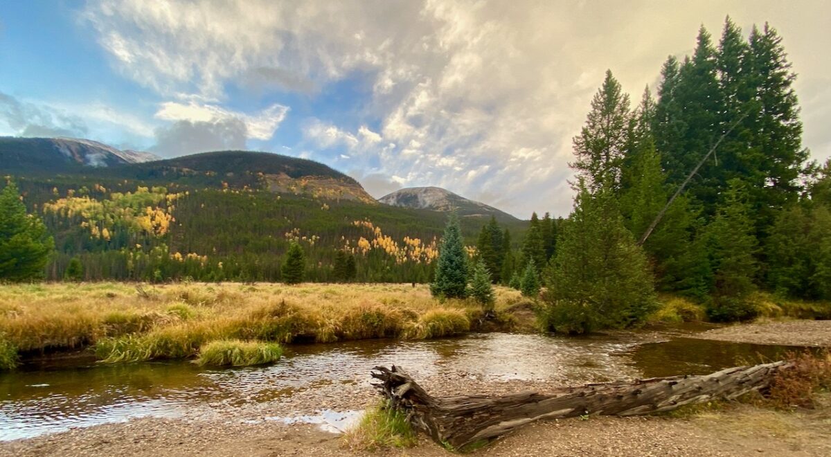 IMG 7158 1200x660 - Eight Days in Colorado: Denver, Rocky Mountain National Park, Woody Creek and a Colorado River State Park